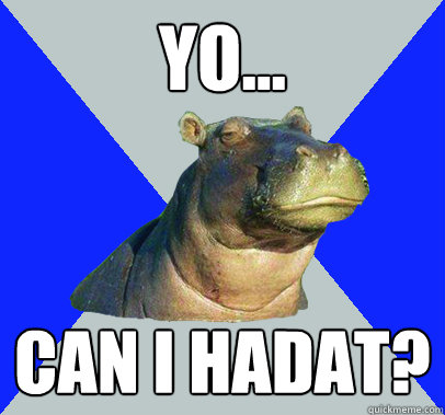 yo... Can i hadat? - yo... Can i hadat?  Skeptical Hippo