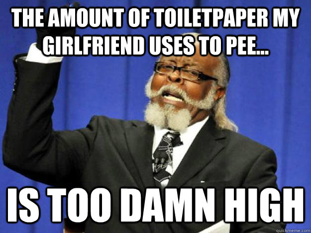the amount of toiletpaper my girlfriend uses to pee... is too damn high - the amount of toiletpaper my girlfriend uses to pee... is too damn high  Toodamnhigh