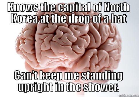 KNOWS THE CAPITAL OF NORTH KOREA AT THE DROP OF A HAT CAN'T KEEP ME STANDING UPRIGHT IN THE SHOWER. Scumbag Brain