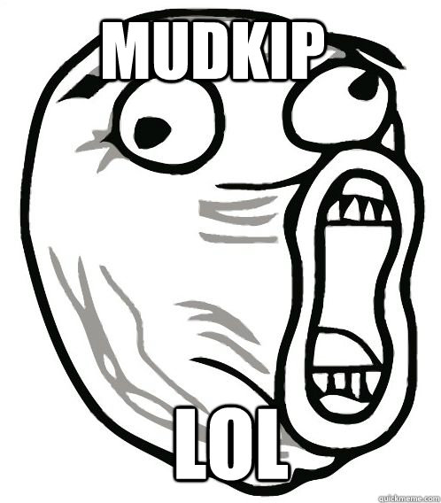 mudkip lol  
