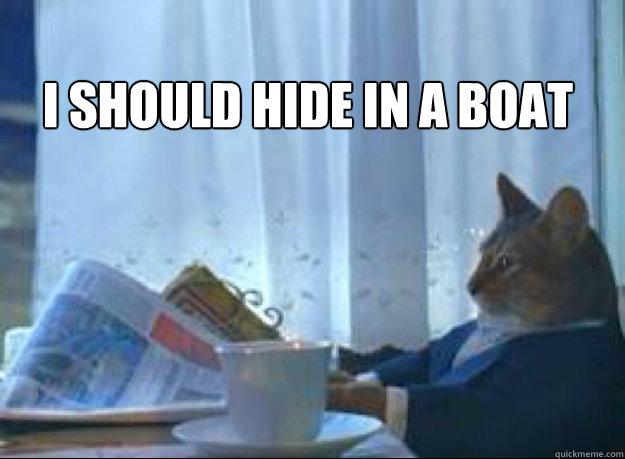 I should hide in a boat   I should buy a boat cat
