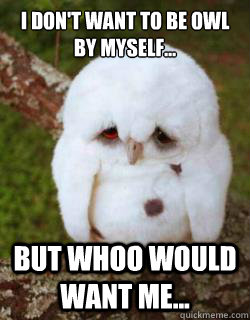 I don't want to be owl by myself... but whoo would want me...  