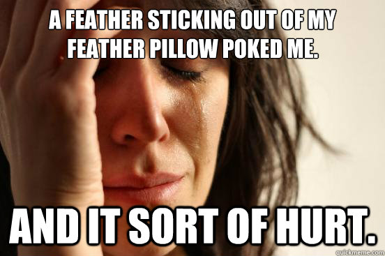 A feather sticking out of my feather pillow poked me. And it sort of hurt.   First World Problems