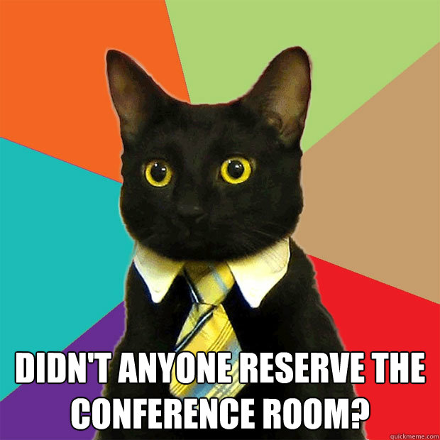  Didn't anyone reserve the conference room?  Business Cat