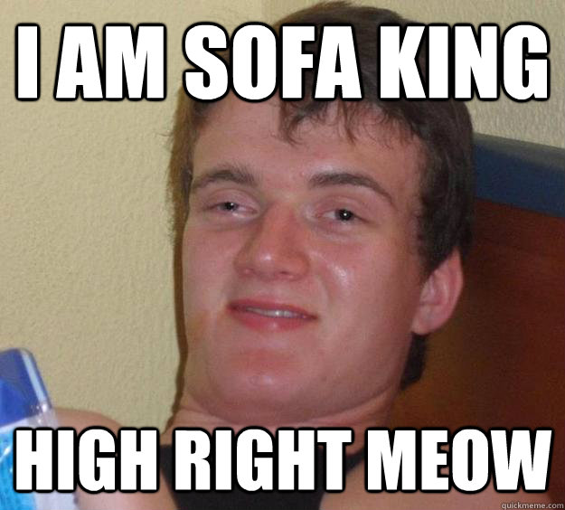 i am sofa king high right meow  10 Guy