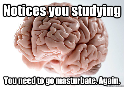 Notices you studying You need to go masturbate. Again.   Scumbag Brain