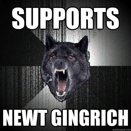 Supports Newt Gingrich  Insanity Wolf
