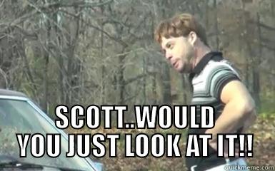  SCOTT..WOULD YOU JUST LOOK AT IT!! Misc