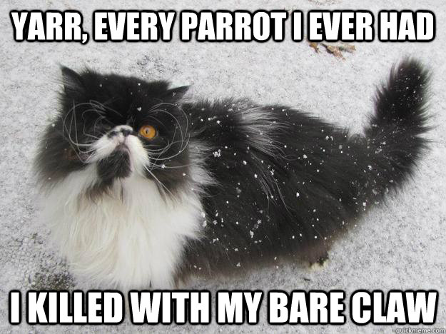 Yarr, every parrot i ever had i killed with my bare claw - Yarr, every parrot i ever had i killed with my bare claw  pirate cat