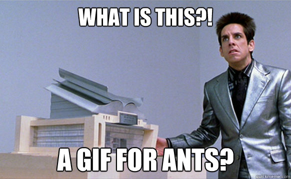 What is this?! A gif for ants? - What is this?! A gif for ants?  A center for ants