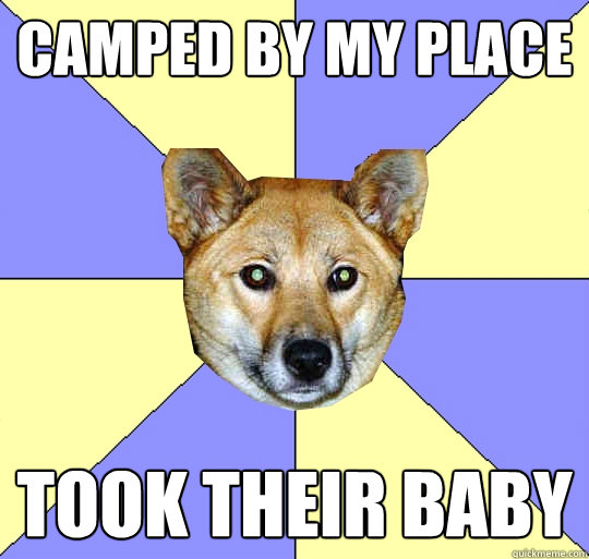 camped by my place
 took their baby
 - camped by my place
 took their baby
  DAE Dingo