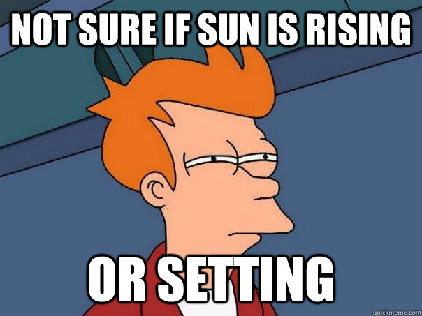 Not sure if sun is rising Or setting  Futurama Fry