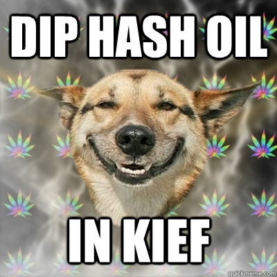 dip hash oil in kief  Stoner Dog