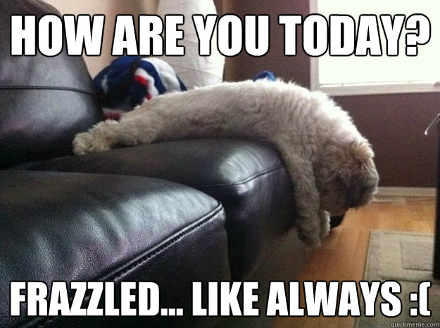 How are you today? Frazzled... like always :( - How are you today? Frazzled... like always :(  Misc