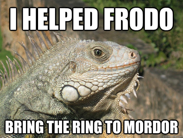 I helped Frodo bring the ring to mordor  