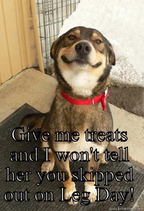 He'll throw anyone under the bus. -  GIVE ME TREATS AND I WON'T TELL HER YOU SKIPPED OUT ON LEG DAY! Good Dog Greg