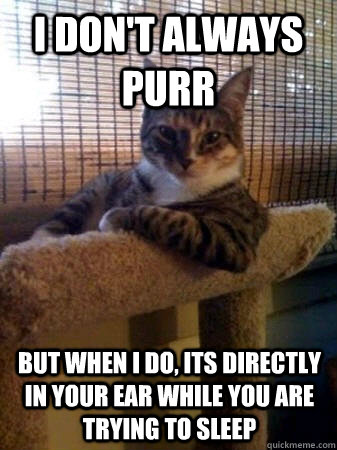 I don't always purr but when I do, its directly in your ear while you are trying to sleep  The Most Interesting Cat in the World
