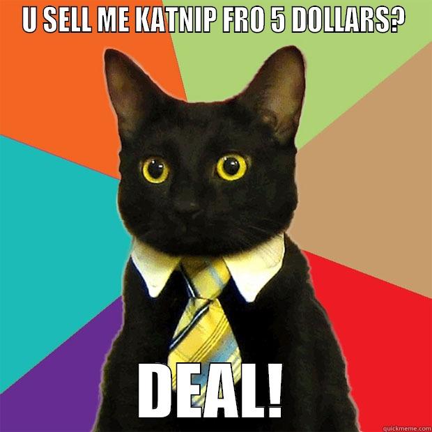 U SELL ME KATNIP FRO 5 DOLLARS? DEAL! Business Cat
