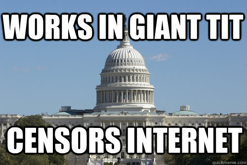 WOrks in giant tit censors internet  Scumbag Congress