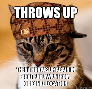 Throws up then throws up again in spot far away from original location  Scumbag Cat