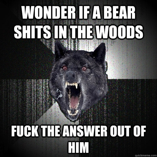 wonder if a bear shits in the woods fuck the answer out of him  Insanity Wolf