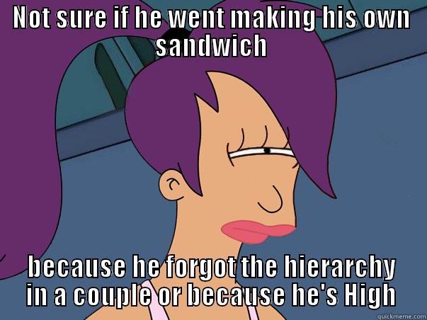 NOT SURE IF HE WENT MAKING HIS OWN SANDWICH BECAUSE HE FORGOT THE HIERARCHY IN A COUPLE OR BECAUSE HE'S HIGH Leela Futurama