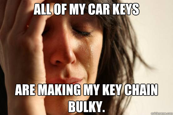 All of my car keys are making my key chain bulky.  First World Problems