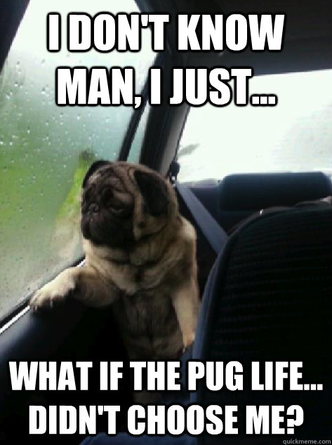 I don't know man, I just... What if the pug life... DIDN'T choose me? - I don't know man, I just... What if the pug life... DIDN'T choose me?  Introspective Pug