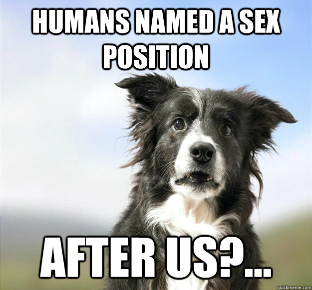 Humans named a sex position After us?...  Shocked Dog