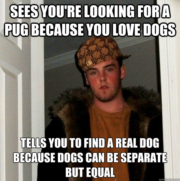 sees you're looking for a pug because you love dogs tells you to find a real dog because dogs can be separate but equal  Scumbag Steve