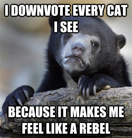 I downvote every cat i see because it makes me feel like a rebel  Confession Bear