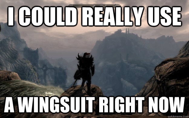 I could really use a wingsuit right now - I could really use a wingsuit right now  Misc