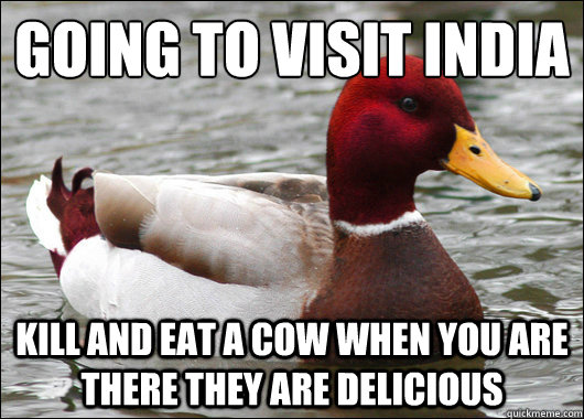 Going to visit India
 Kill and eat a cow when you are there they are Delicious  - Going to visit India
 Kill and eat a cow when you are there they are Delicious   Malicious Advice Mallard