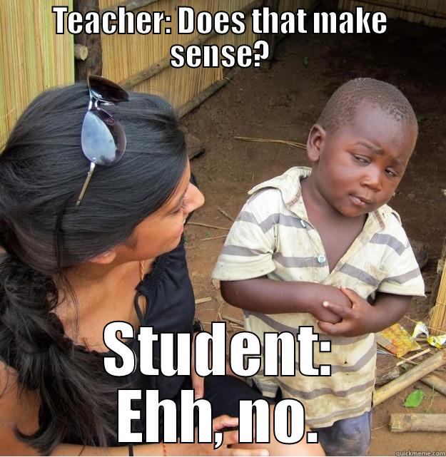 TEACHER: DOES THAT MAKE SENSE? STUDENT: EHH, NO. Skeptical Third World Kid