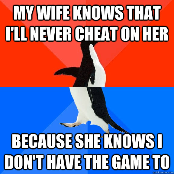 My wife knows that i'll never cheat on her because she knows i don't have the game to  Socially Awesome Awkward Penguin
