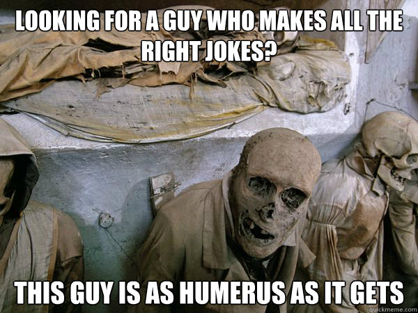 Looking for a guy who makes all the right jokes? This guy is as humerus as it gets  