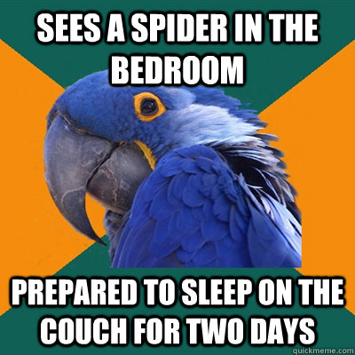 sees a spider in the bedroom prepared to sleep on the couch for two days  Paranoid Parrot