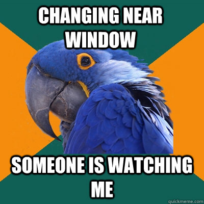changing near window someone is watching me  Paranoid Parrot