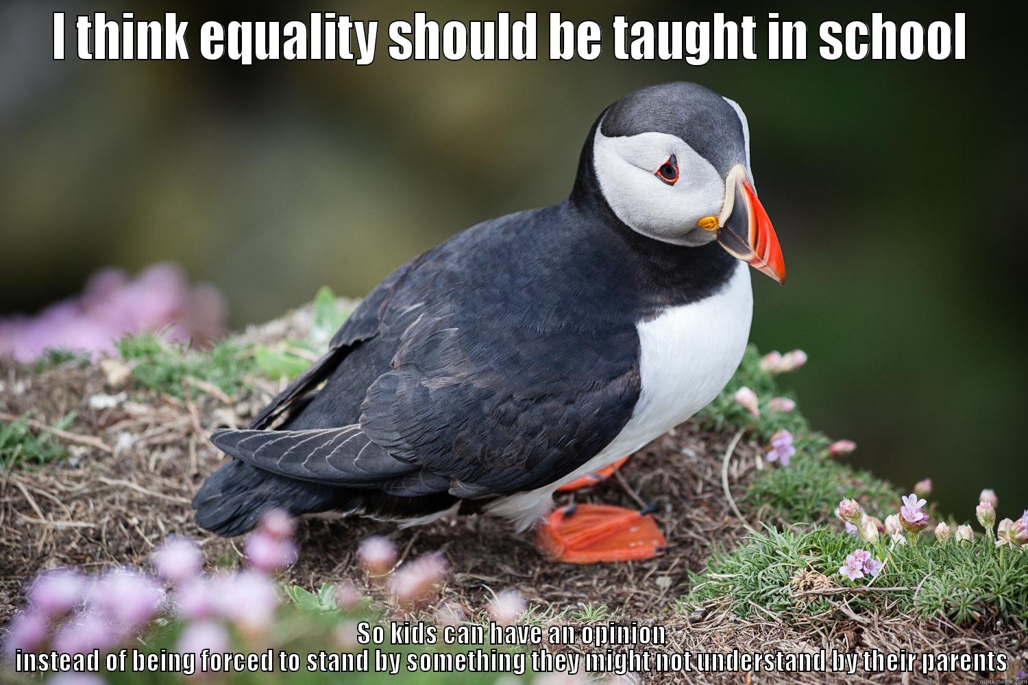 I THINK EQUALITY SHOULD BE TAUGHT IN SCHOOL SO KIDS CAN HAVE AN OPINION INSTEAD OF BEING FORCED TO STAND BY SOMETHING THEY MIGHT NOT UNDERSTAND BY THEIR PARENTS Misc