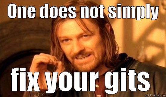   ONE DOES NOT SIMPLY      FIX YOUR GITS   Boromir