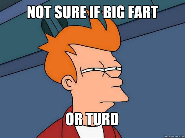 NOT SURE IF BIG FART OR TURD - NOT SURE IF BIG FART OR TURD  Futurama Fry