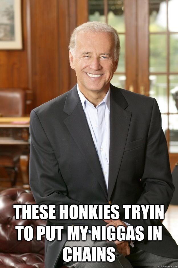  These honkies tryin to put my niggas in chains  Joe Biden