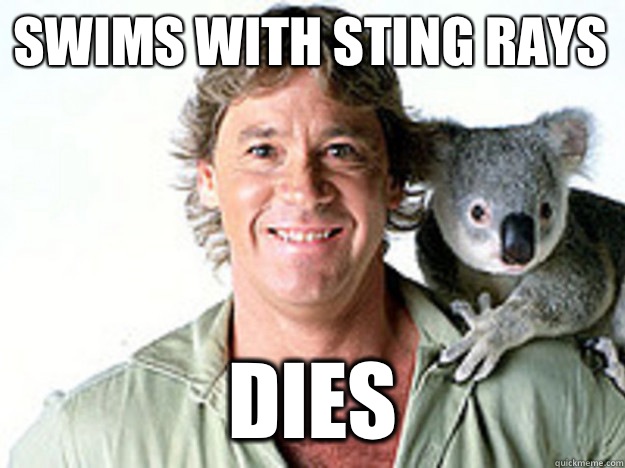 Swims with sting rays Dies  