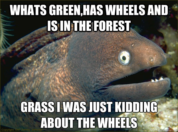 Whats green,has wheels and is in the forest Grass i was just kidding about the wheels  Bad Joke Eel