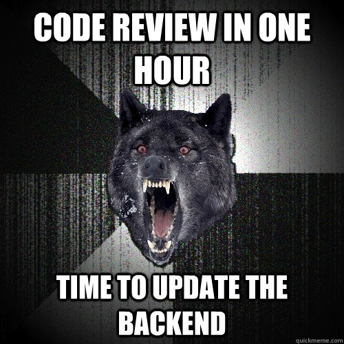 CODE REVIEW IN ONE HOUR TIME TO UPDATE THE BACKEND  Insanity Wolf