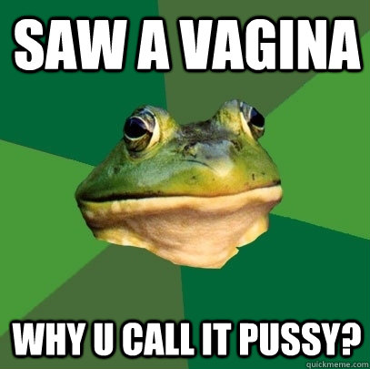 Saw a vagina why u call it pussy?  Foul Bachelor Frog
