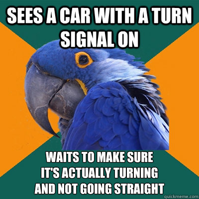 Sees a car with a turn signal on Waits to make sure 
it's actually turning 
and not going straight  Paranoid Parrot