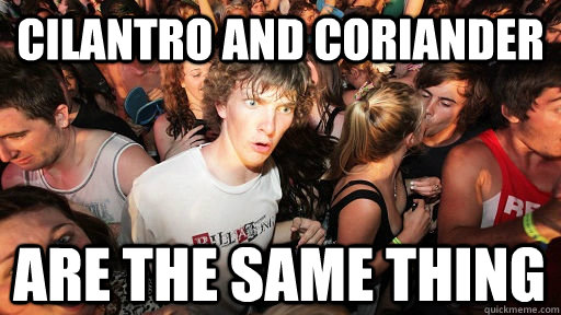 Cilantro and coriander are the same thing  Sudden Clarity Clarence