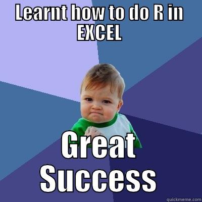 LEARNT HOW TO DO R IN EXCEL GREAT SUCCESS Success Kid