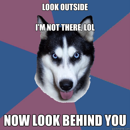 look outside

I'm not there, lol now look behind you  Creeper Canine